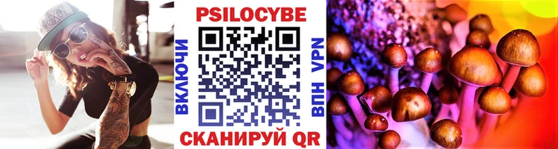 дарнет шоп  Каргат  omg ССЫЛКА  Псилоцибиновые грибы MAGIC MUSHROOMS 